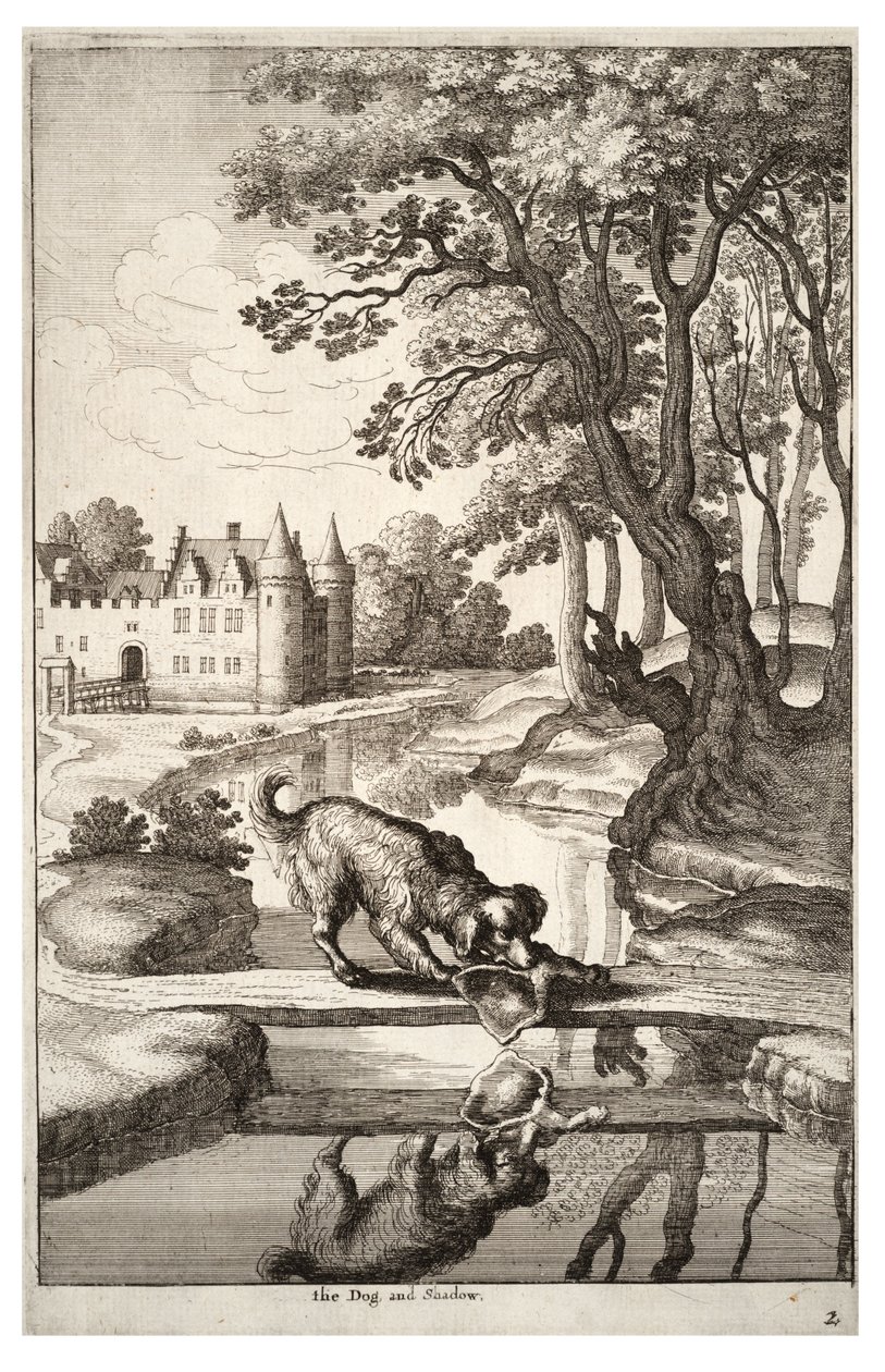 Pies i jego odbicie autorstwa Wenceslaus Hollar