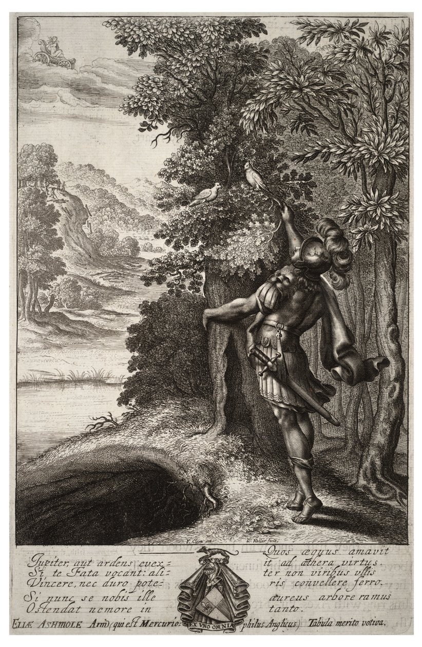 Złota gałąź. Stan 1 autorstwa Wenceslaus Hollar