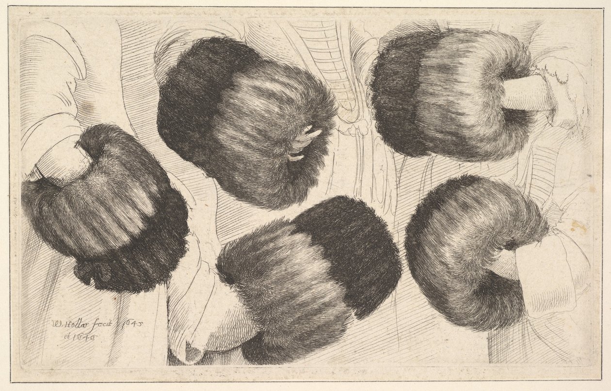 Muff in Five Views, 1645-46. autorstwa Wenceslaus Hollar