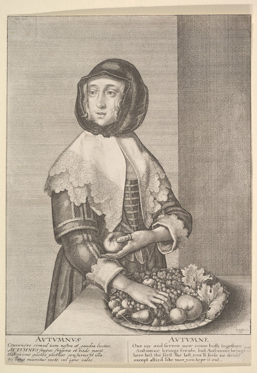 Autumnus - Jesień Trzy czwarte długości sezonów, 1641. autorstwa Wenceslaus Hollar