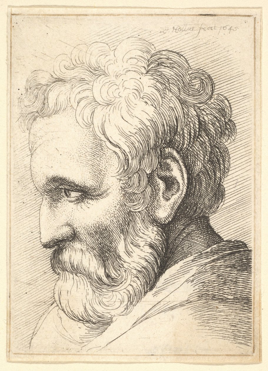 Brodaty starzec, 1645. autorstwa Wenceslaus Hollar