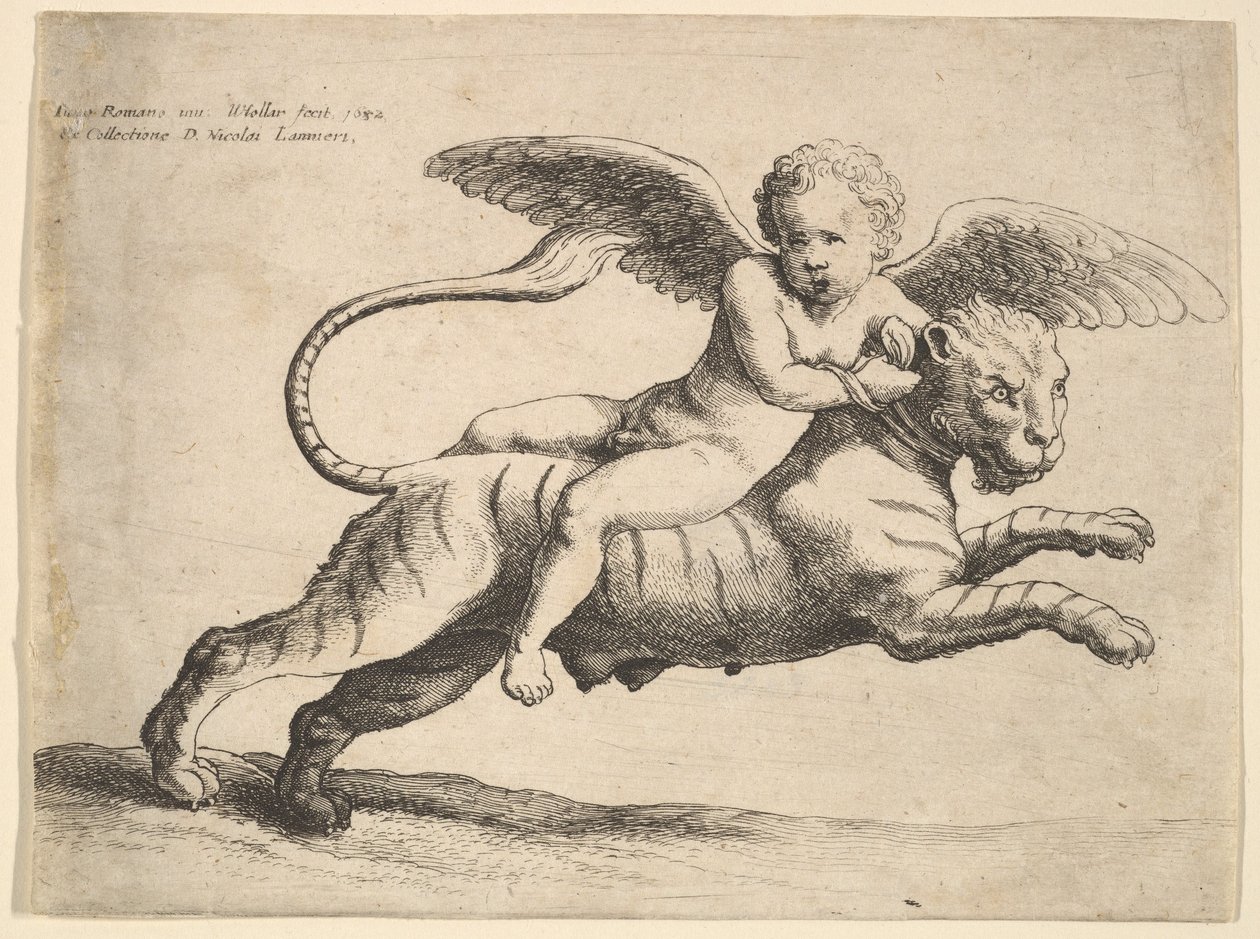 Kupidyn na tygrysie, 1652. autorstwa Wenceslaus Hollar