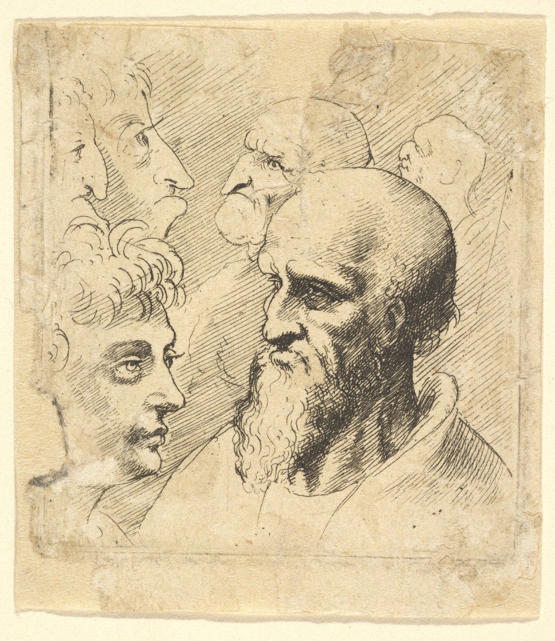 Różne testy, 1645. autorstwa Wenceslaus Hollar