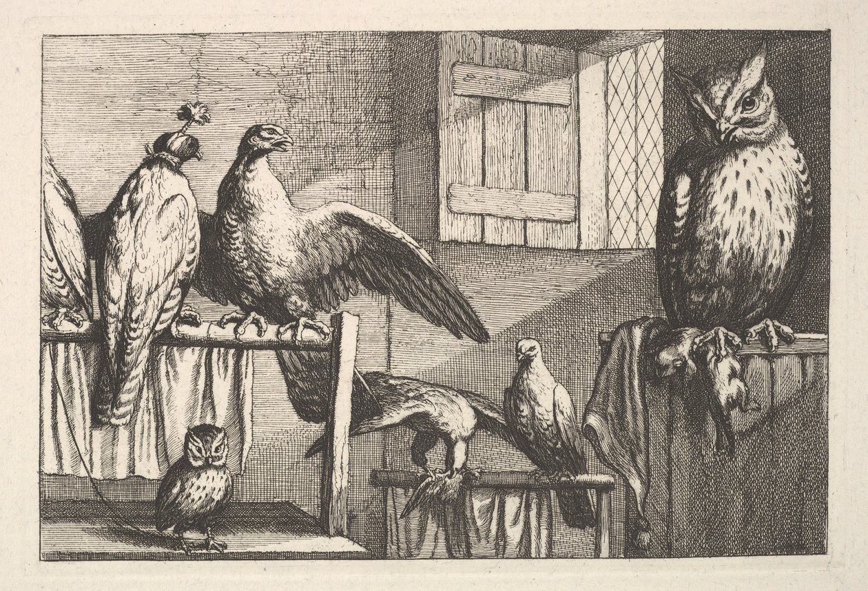 Jastrzębie i sowy, 1625-77. autorstwa Wenceslaus Hollar