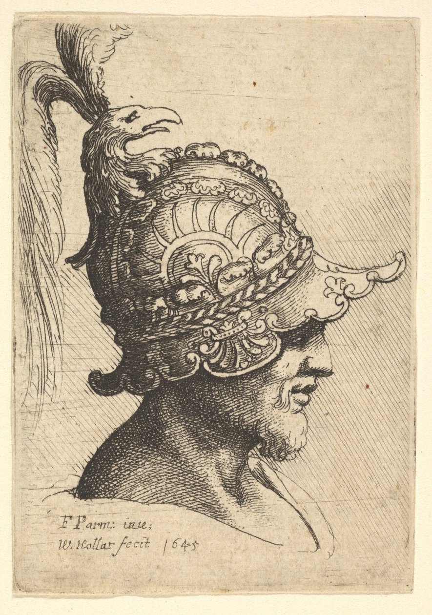Głowa w hełmie z herbem ptaków, 1645. autorstwa Wenceslaus Hollar