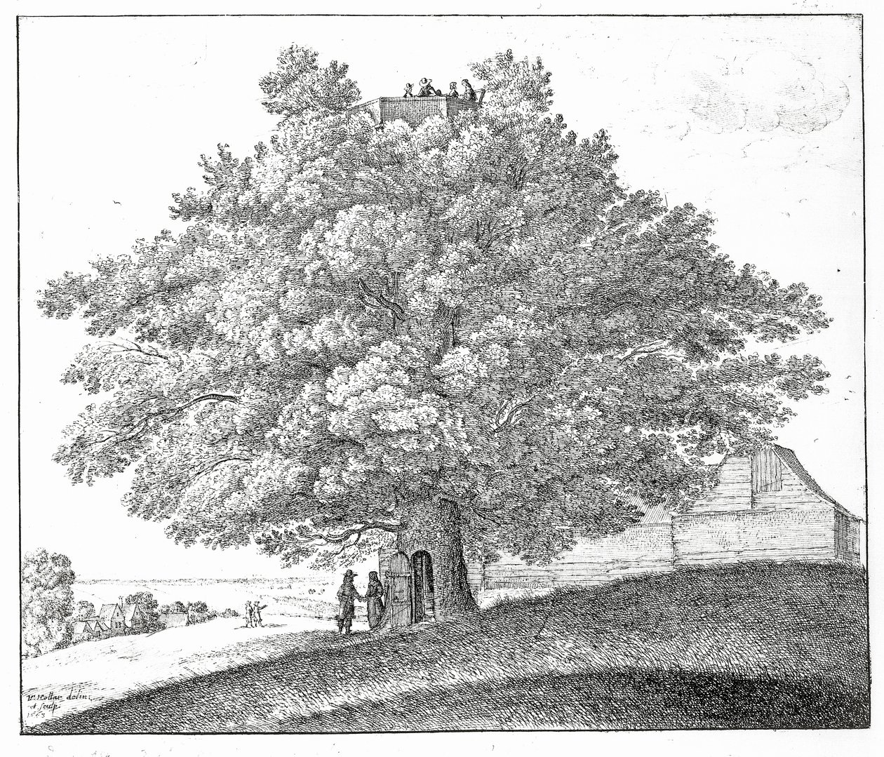 Puste drzewo w Hampstead, 1663 autorstwa Wenceslaus Hollar
