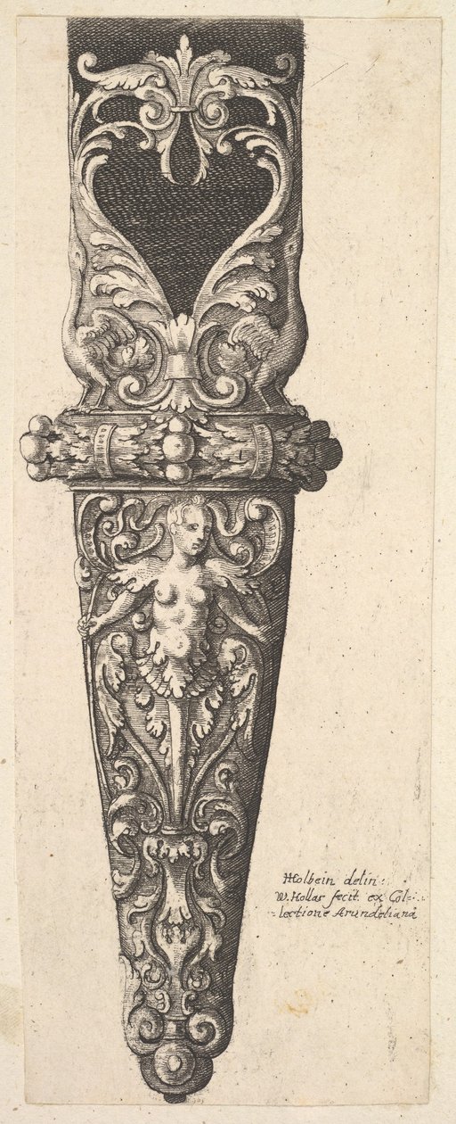 Dolna część pochwy, 1625-77. autorstwa Wenceslaus Hollar