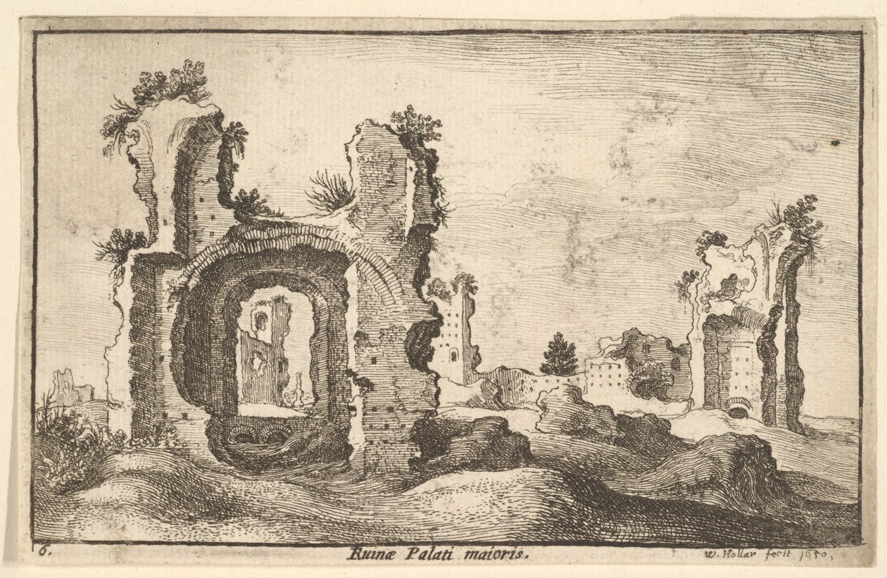 Pałac Palatyn, Rzym, 1650 autorstwa Wenceslaus Hollar