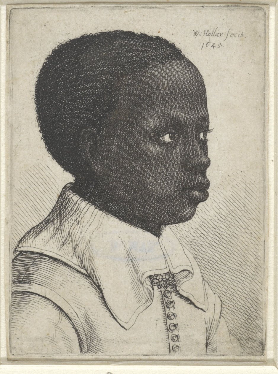 Portret czarnoskórego chłopca, 1645 autorstwa Wenceslaus Hollar