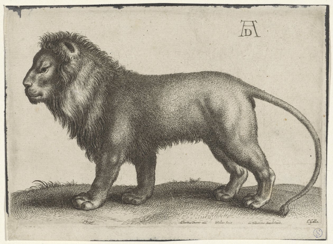 stojący lew autorstwa Wenceslaus Hollar