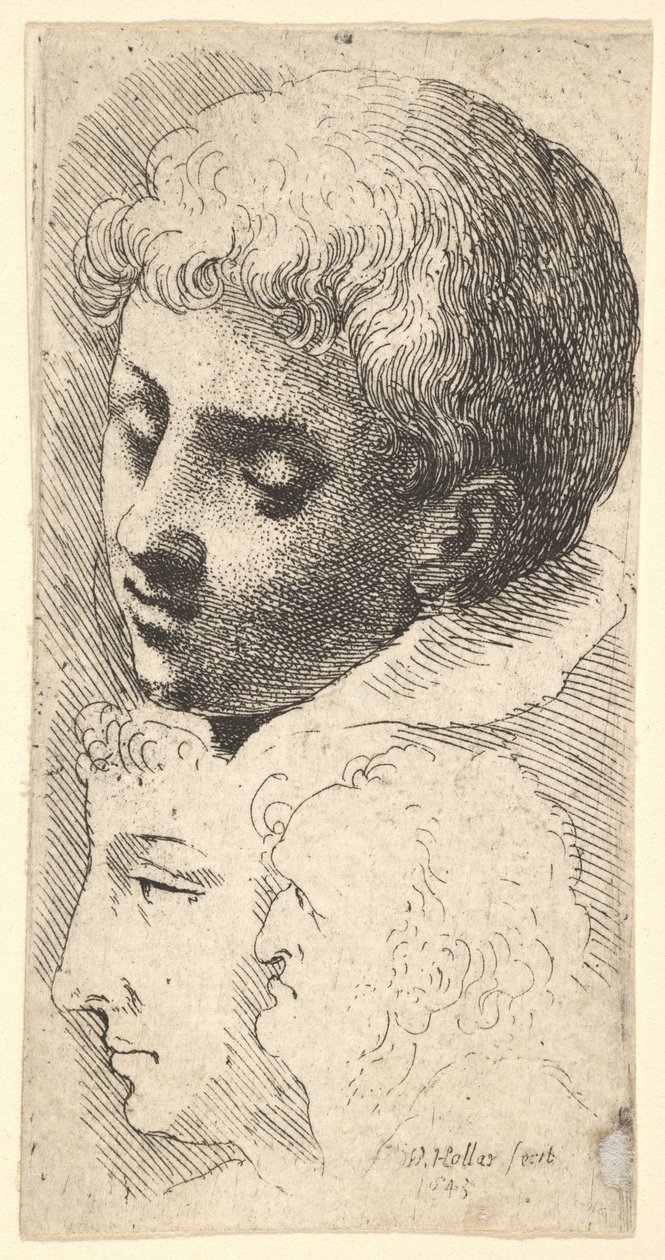 Trzy głowy, 1645. autorstwa Wenceslaus Hollar
