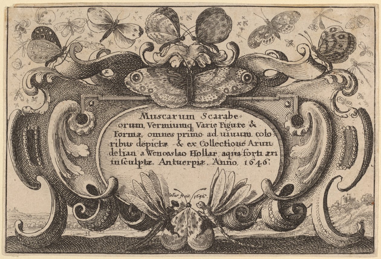 Strona tytułowa autorstwa Wenceslaus Hollar