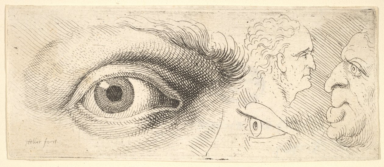 Dwoje oczu i dwie głowy, 1644-52. autorstwa Wenceslaus Hollar