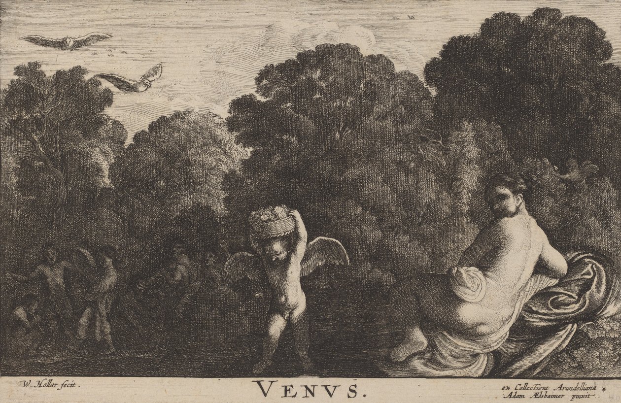 Wenus. autorstwa Wenceslaus Hollar