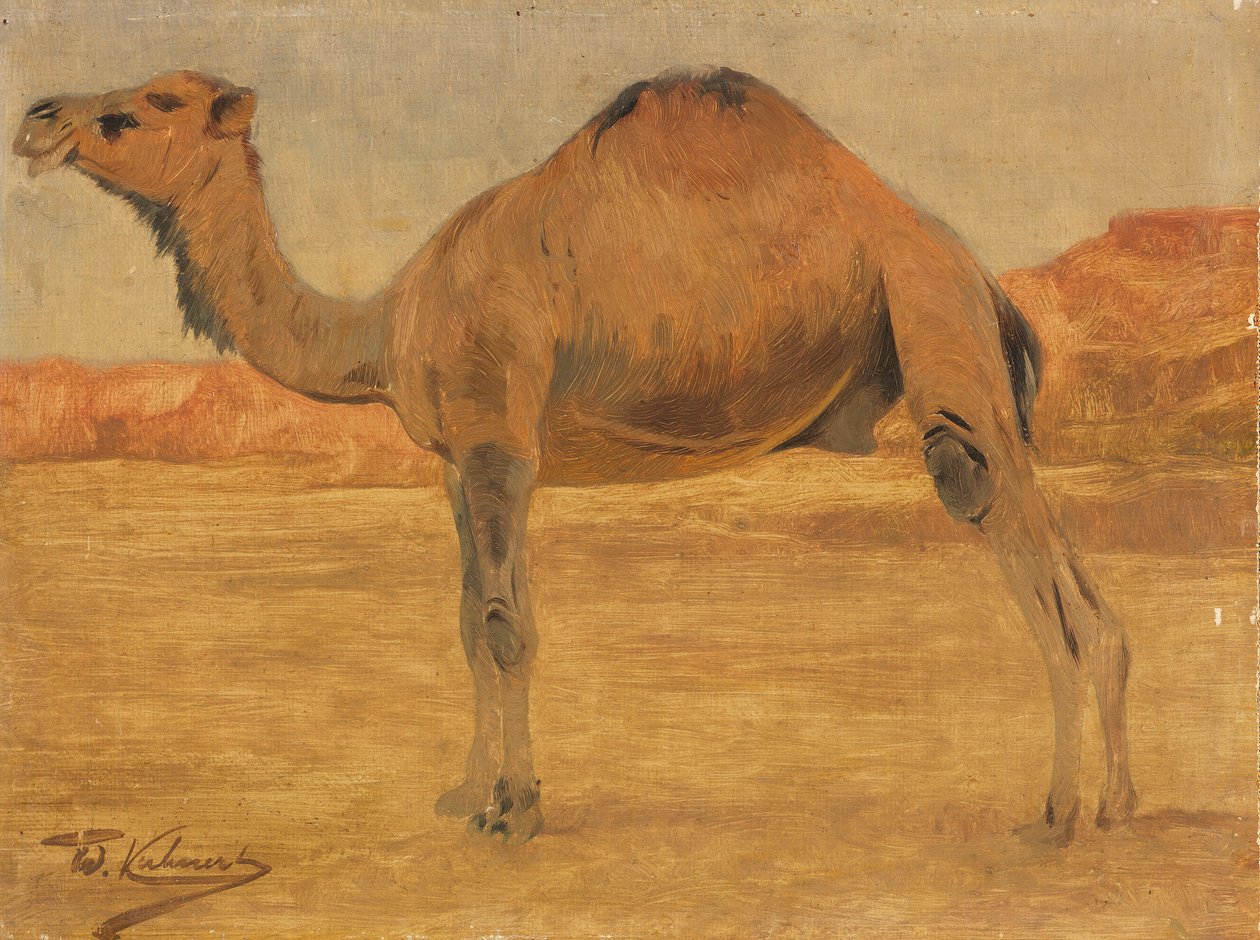Dromadery autorstwa Wilhelm Kuhnert