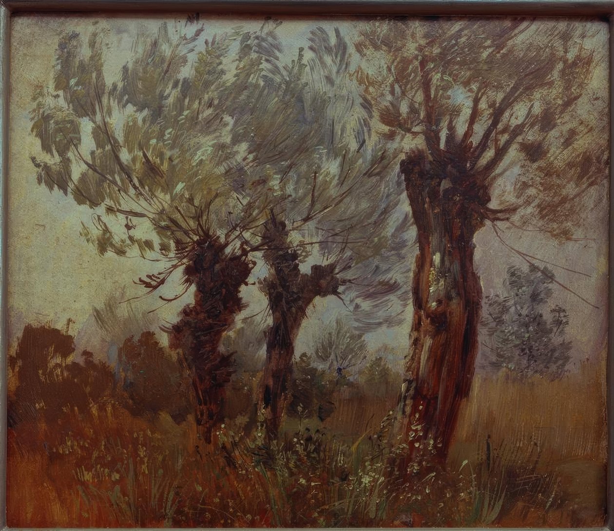 Trzy stare wierzby autorstwa Wilhelm Busch