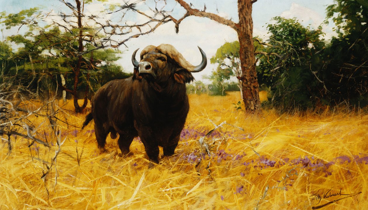Kaffir Buffalo w Prairie Grass, autorstwa Wilhelm Kuhnert