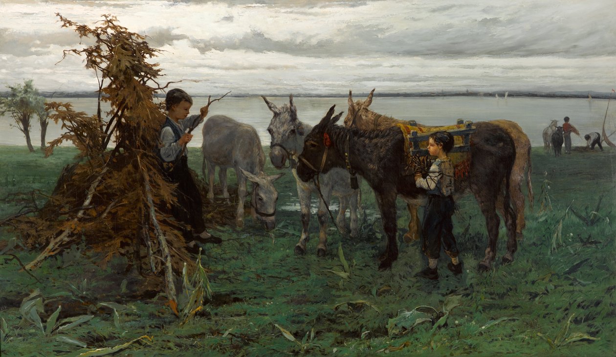 Chłopcy pasący osły autorstwa Willem Maris