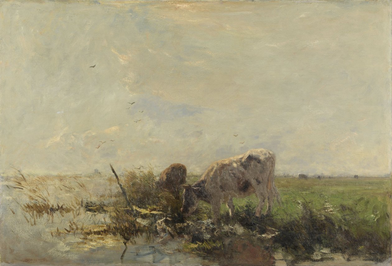 Krowy na kałuży autorstwa Willem Maris