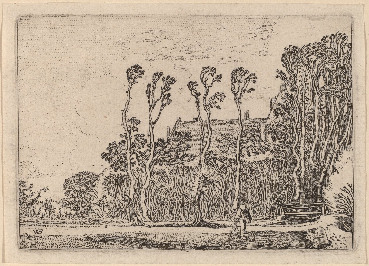 Siewca autorstwa Willem Buytewech