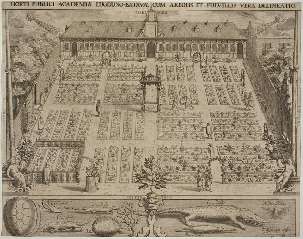 Ogród botaniczny w Leyden autorstwa Willem Isaaksz Swanenburgh
