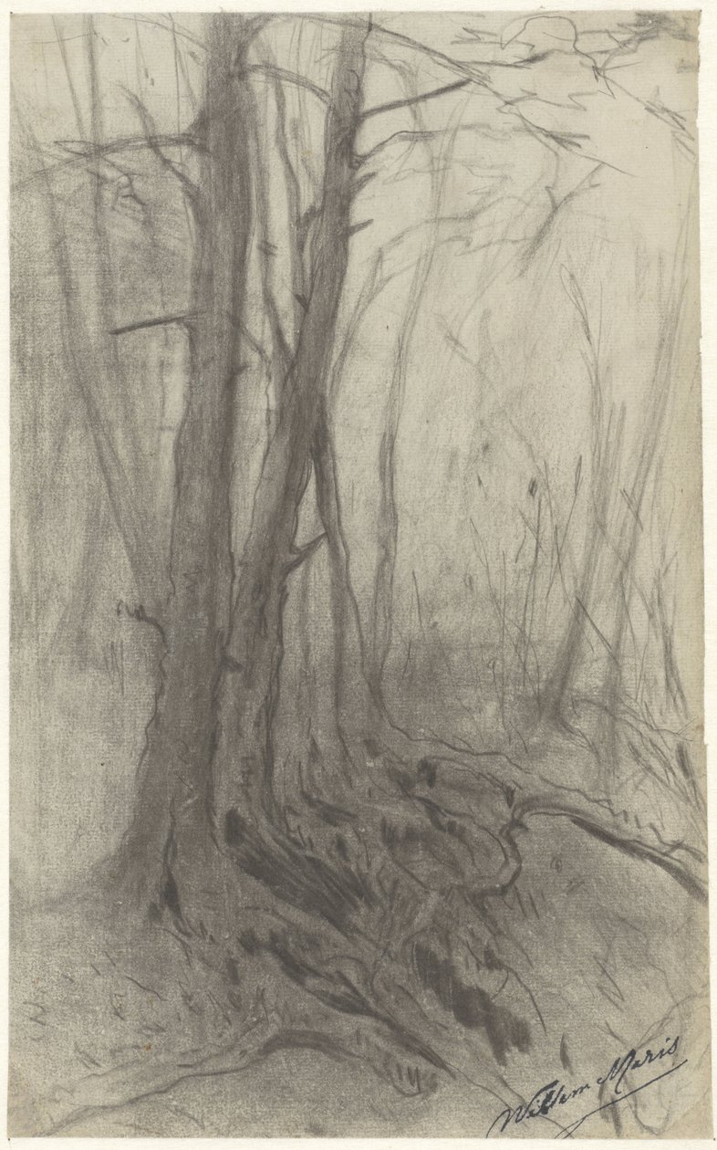 Drzewa w lesie autorstwa Willem Maris