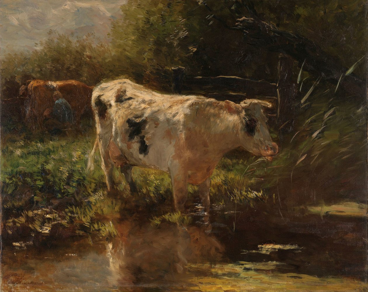 Krowa obok rowu Krowa po stronie rowu autorstwa Willem Maris