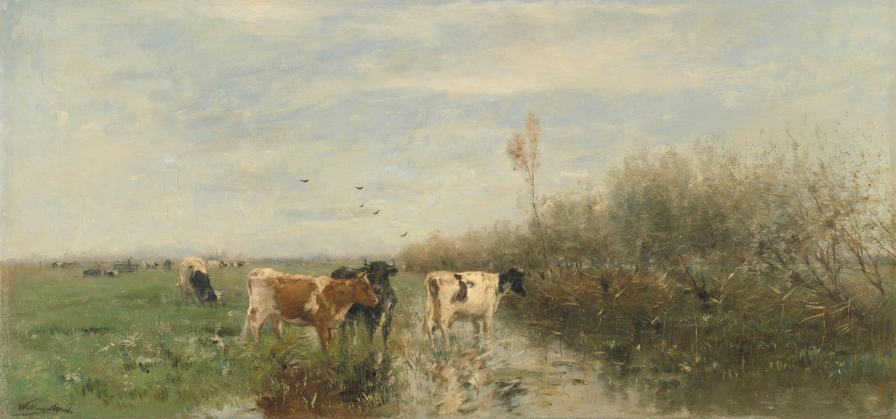 Krowy na podmokłej łące autorstwa Willem Maris