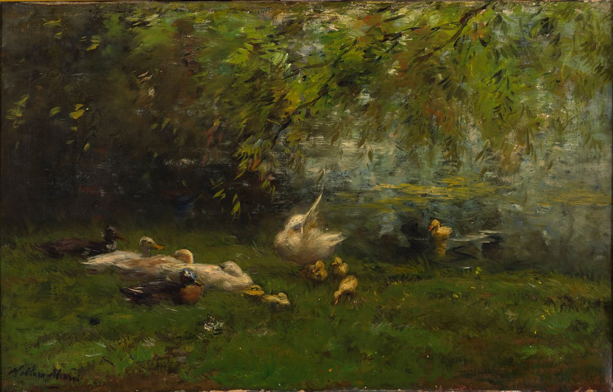 kacze niebo autorstwa Willem Maris
