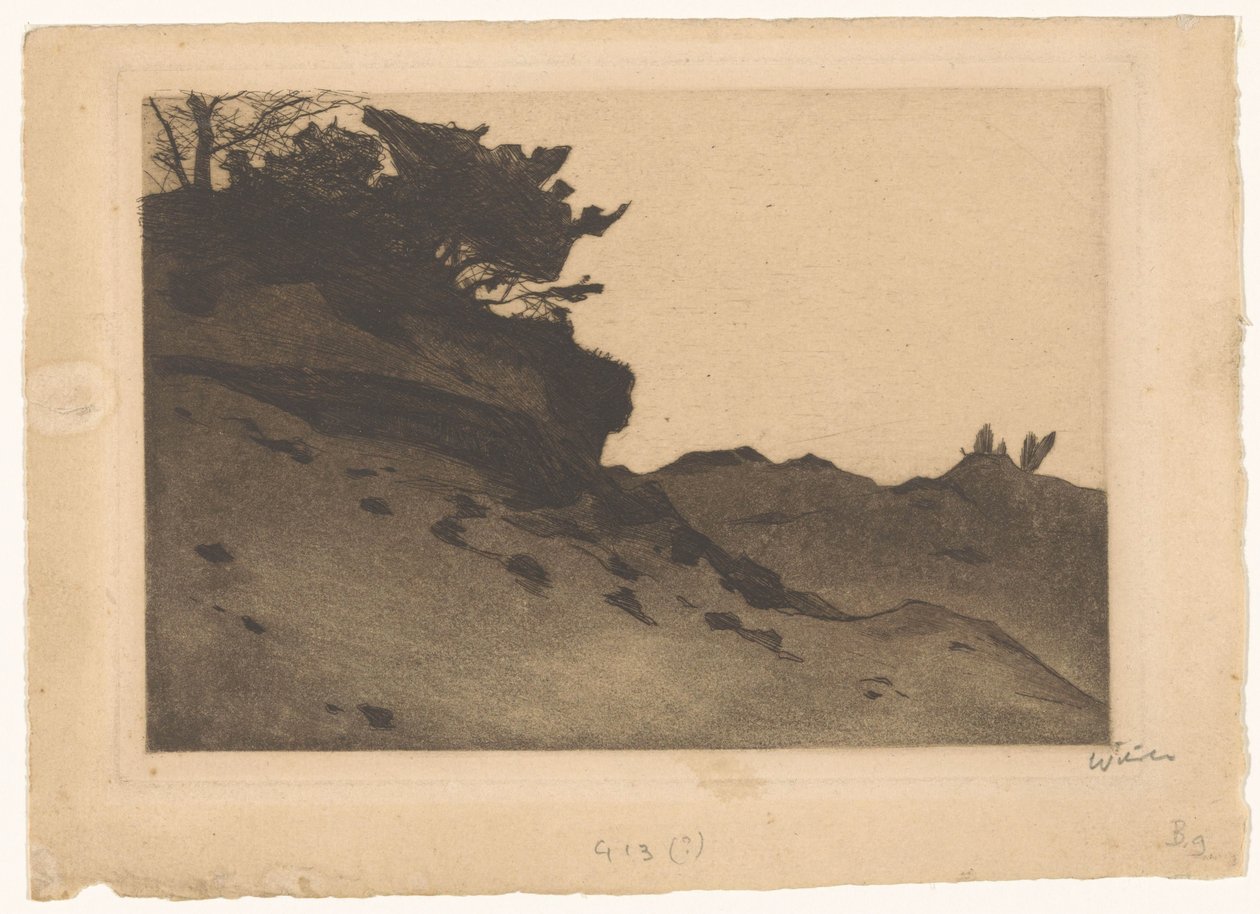 Krzewy na zaspie piasku autorstwa Willem Witsen (signed by artist)