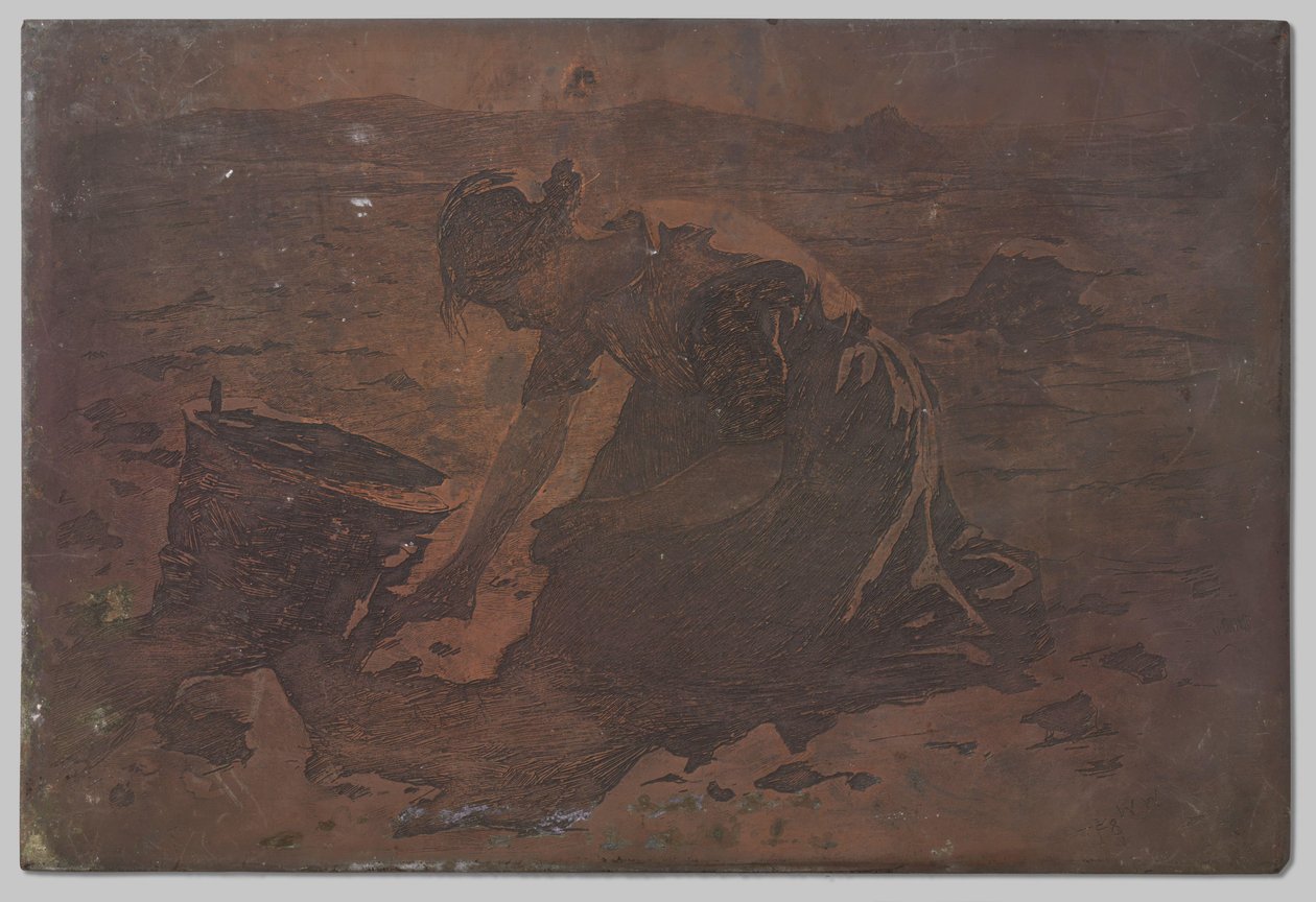 zbiór ziemniaków autorstwa Willem Arnoldus Witsen