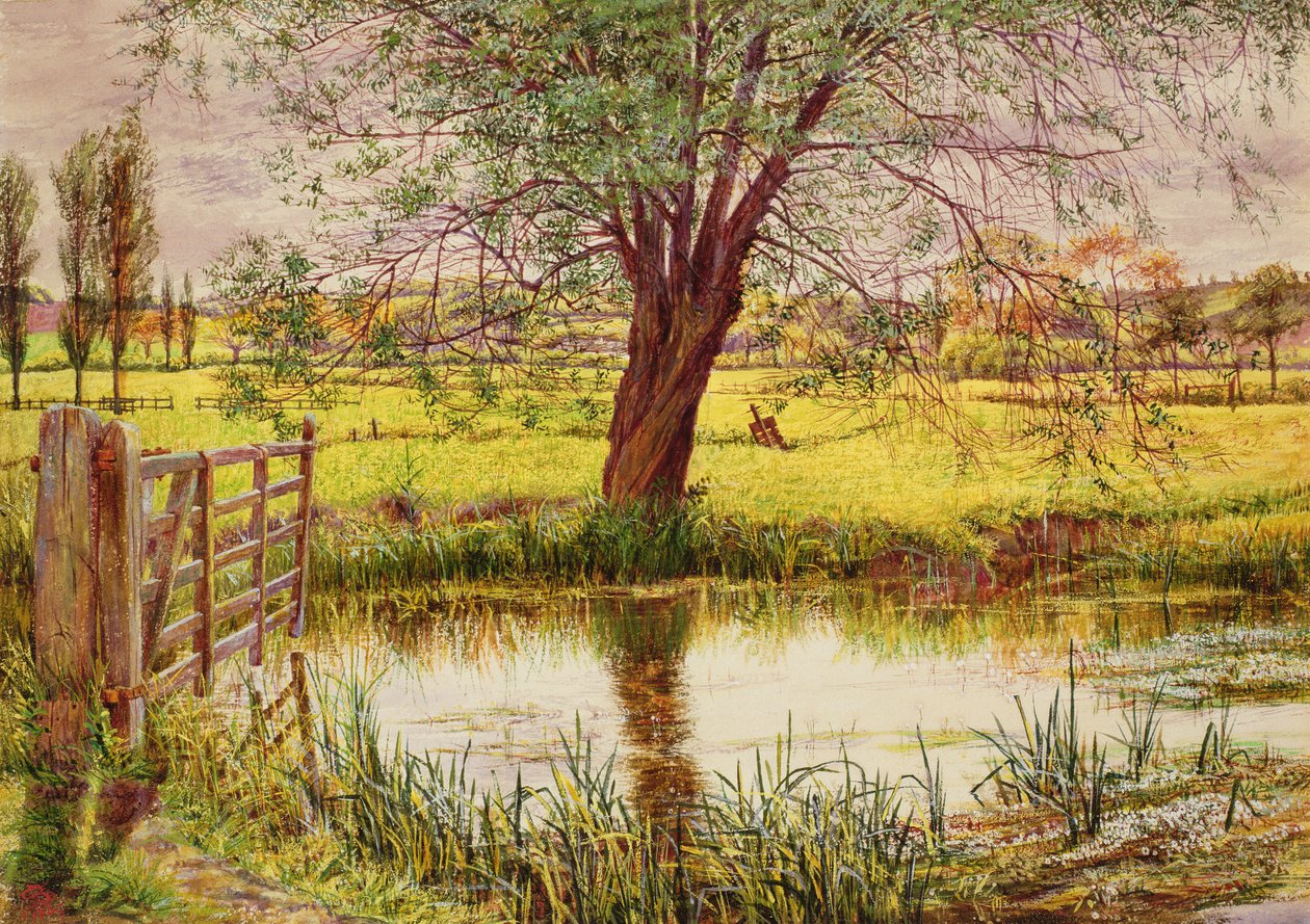 Wodna Łąka, 1865 r. autorstwa William Bell Scott