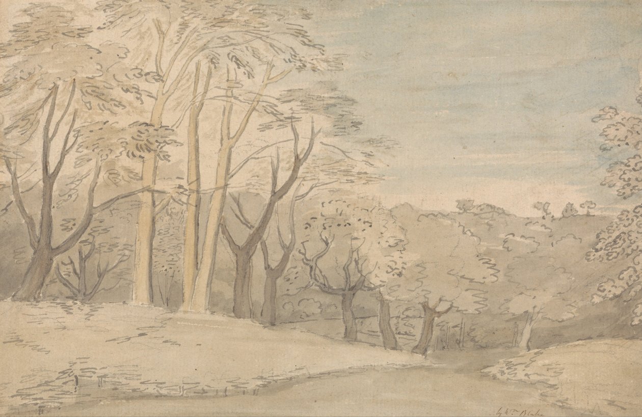 Leśny krajobraz autorstwa William Blake