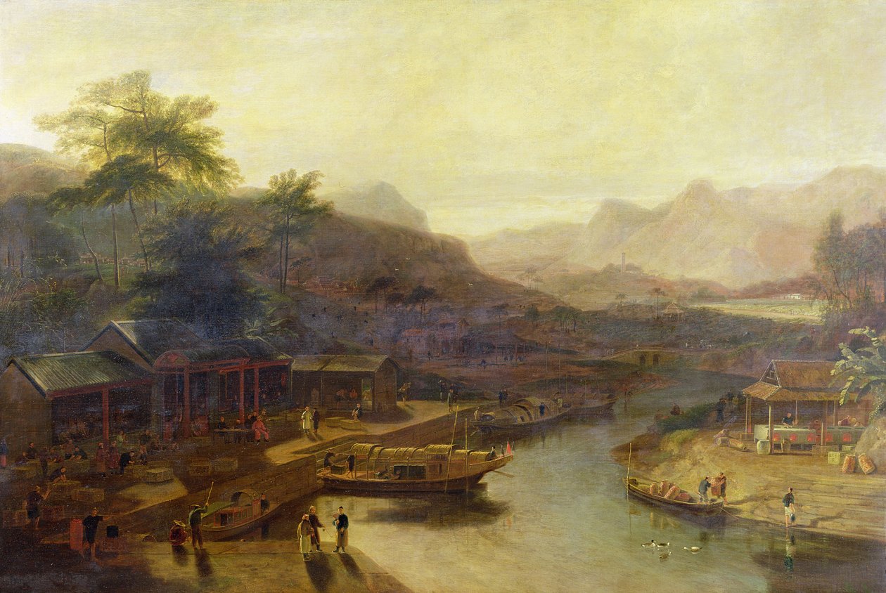 Widok w Chinach: uprawa krzewu herbacianego, ok. 1810 r. autorstwa William Daniell