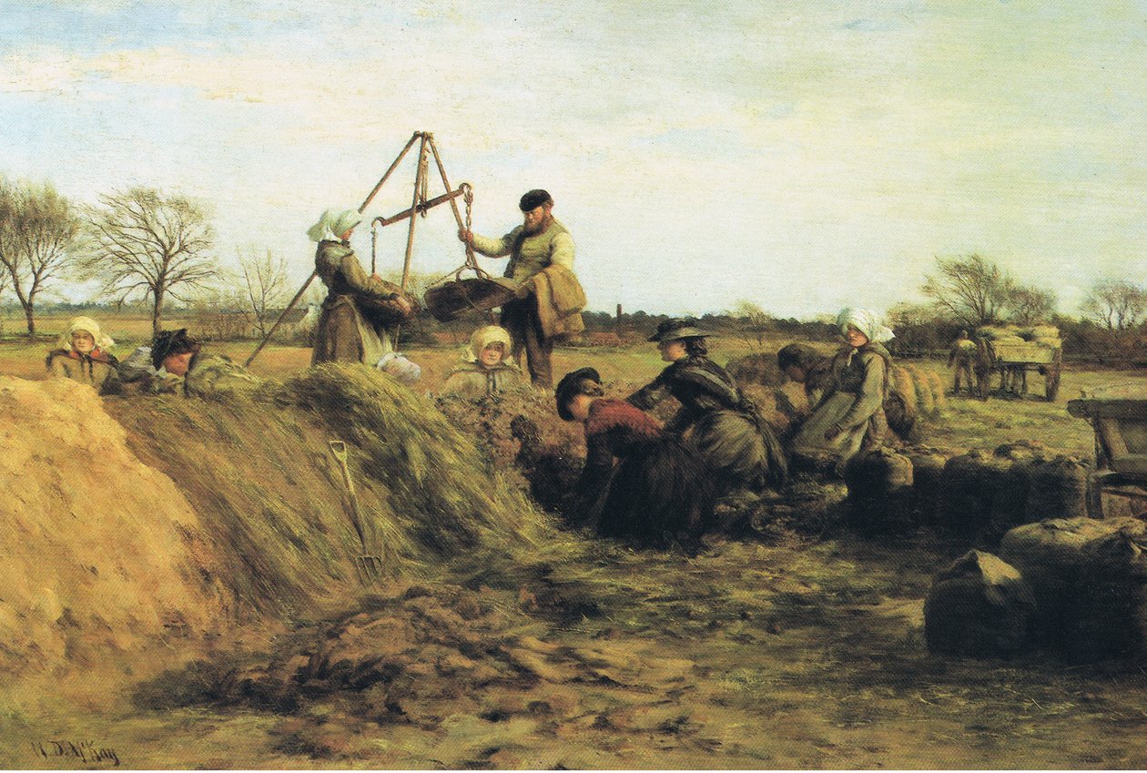 Praca polowa na wiosnę-przy dołach ziemniaczanych autorstwa William Darling Mackay