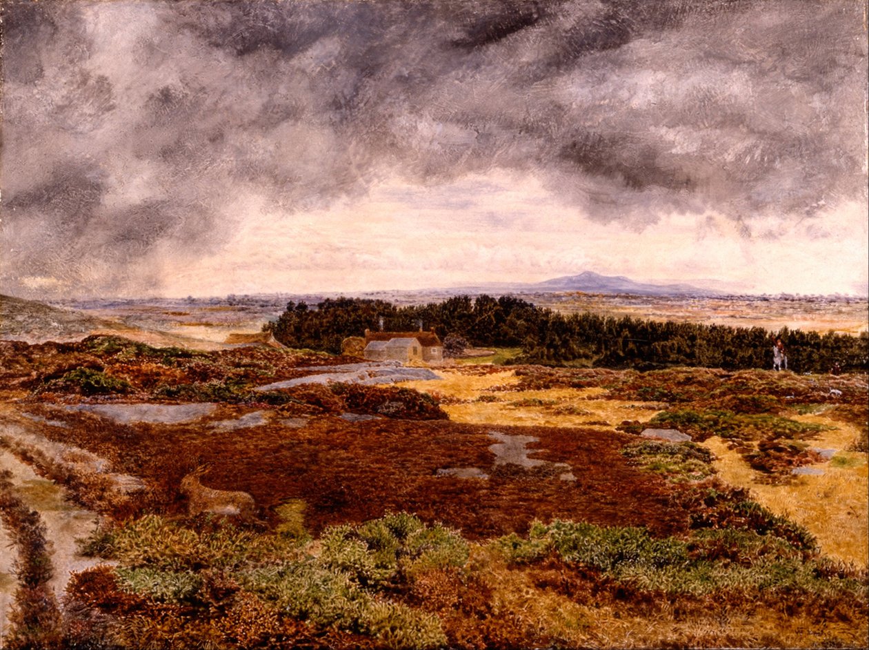 Widok z Bidston Hill autorstwa William Davis