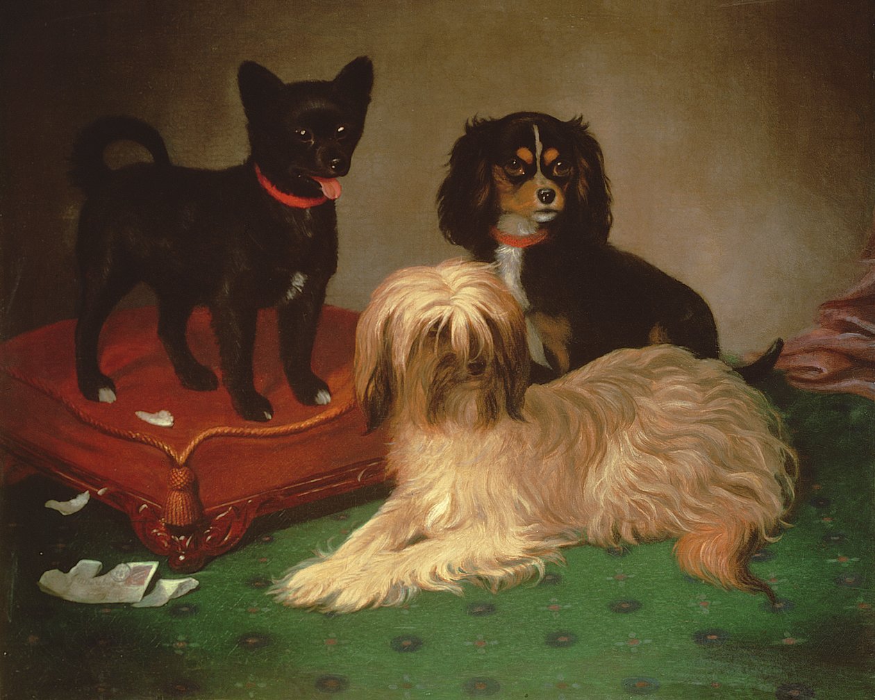 Trzy psy (olej) autorstwa William Elsob Marshall