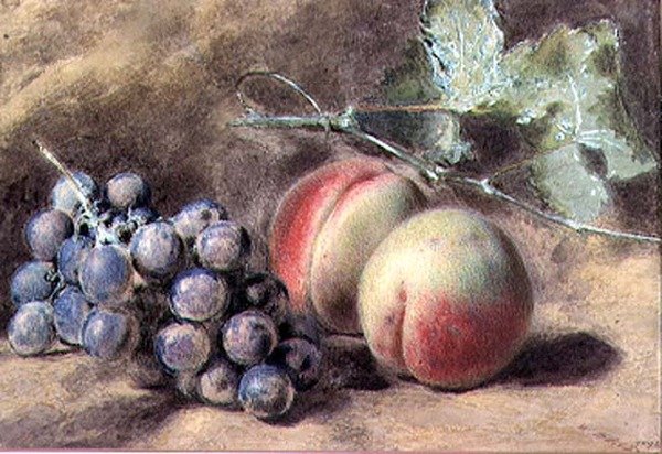 Winogrona i Brzoskwinie, XIX w. autorstwa William Henry Hunt