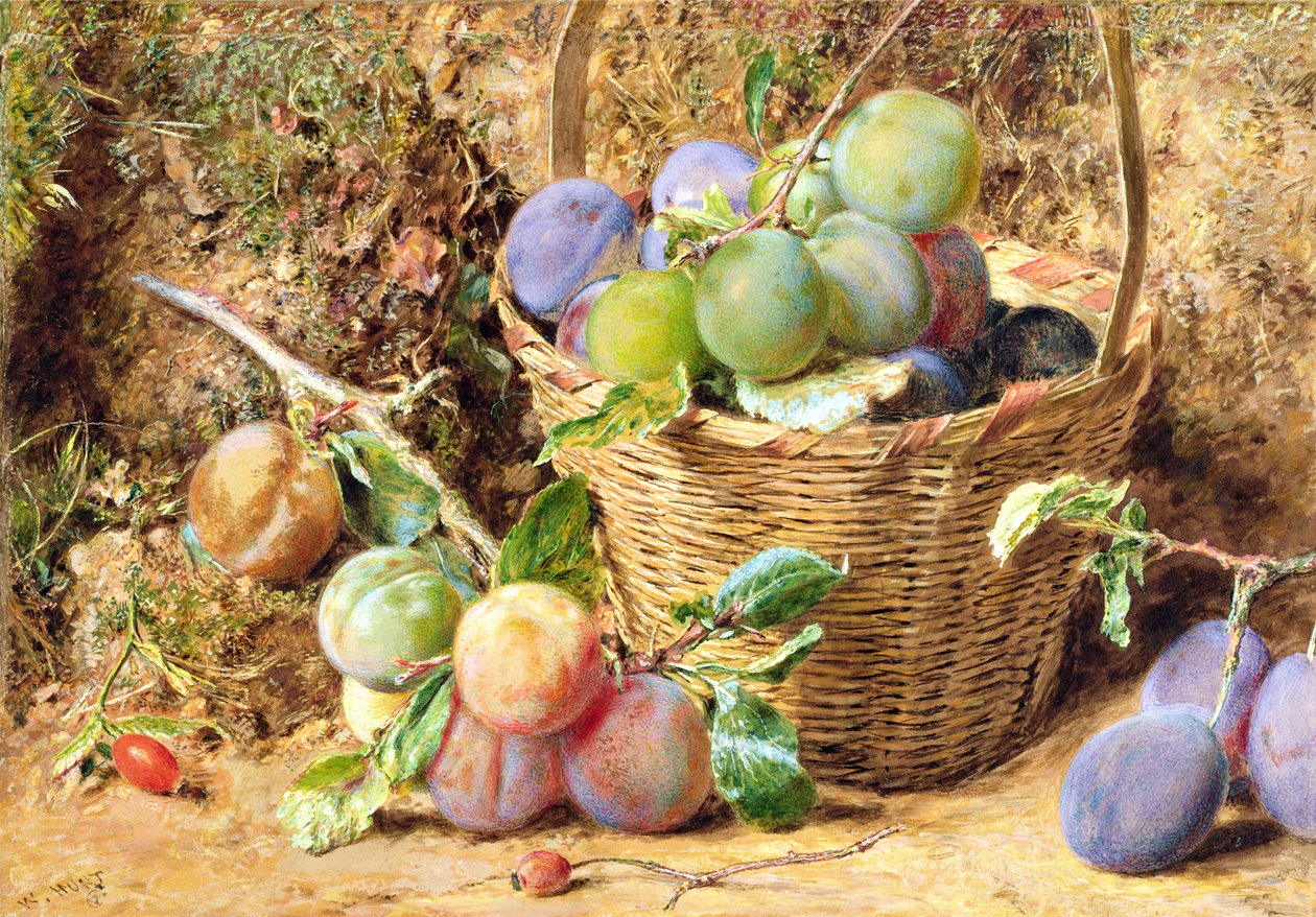 Śliwki (WC) autorstwa William Henry Hunt