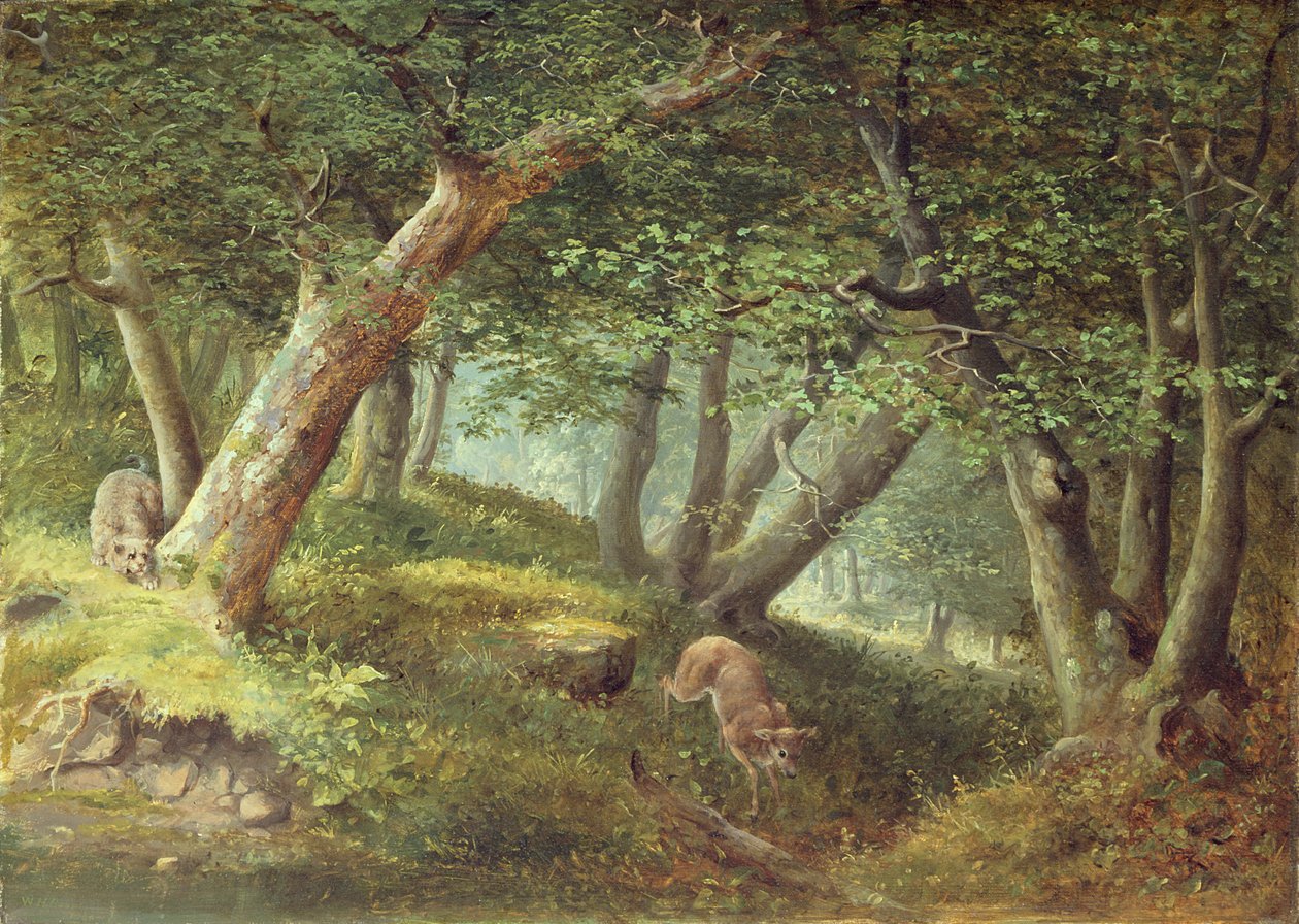 W lesie, 1856 autorstwa William Holbrook Beard