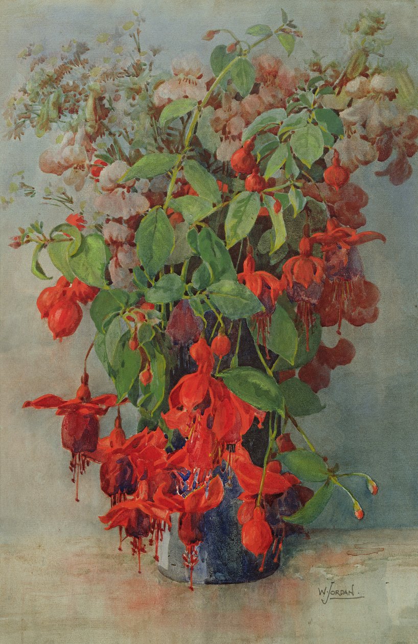 Fushia i Snapdragon w wazonie (ołówek i wc) autorstwa William Jordan