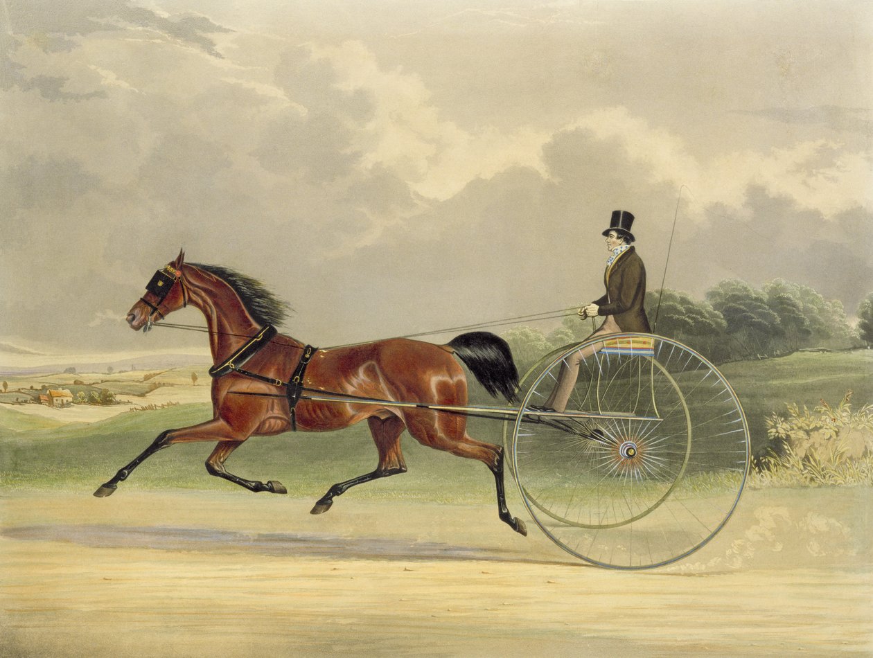 Lord William, wyryty przez J.R. Macrell (fl.1845), 1845 (rycina kolorowa) autorstwa William Joseph Shayer