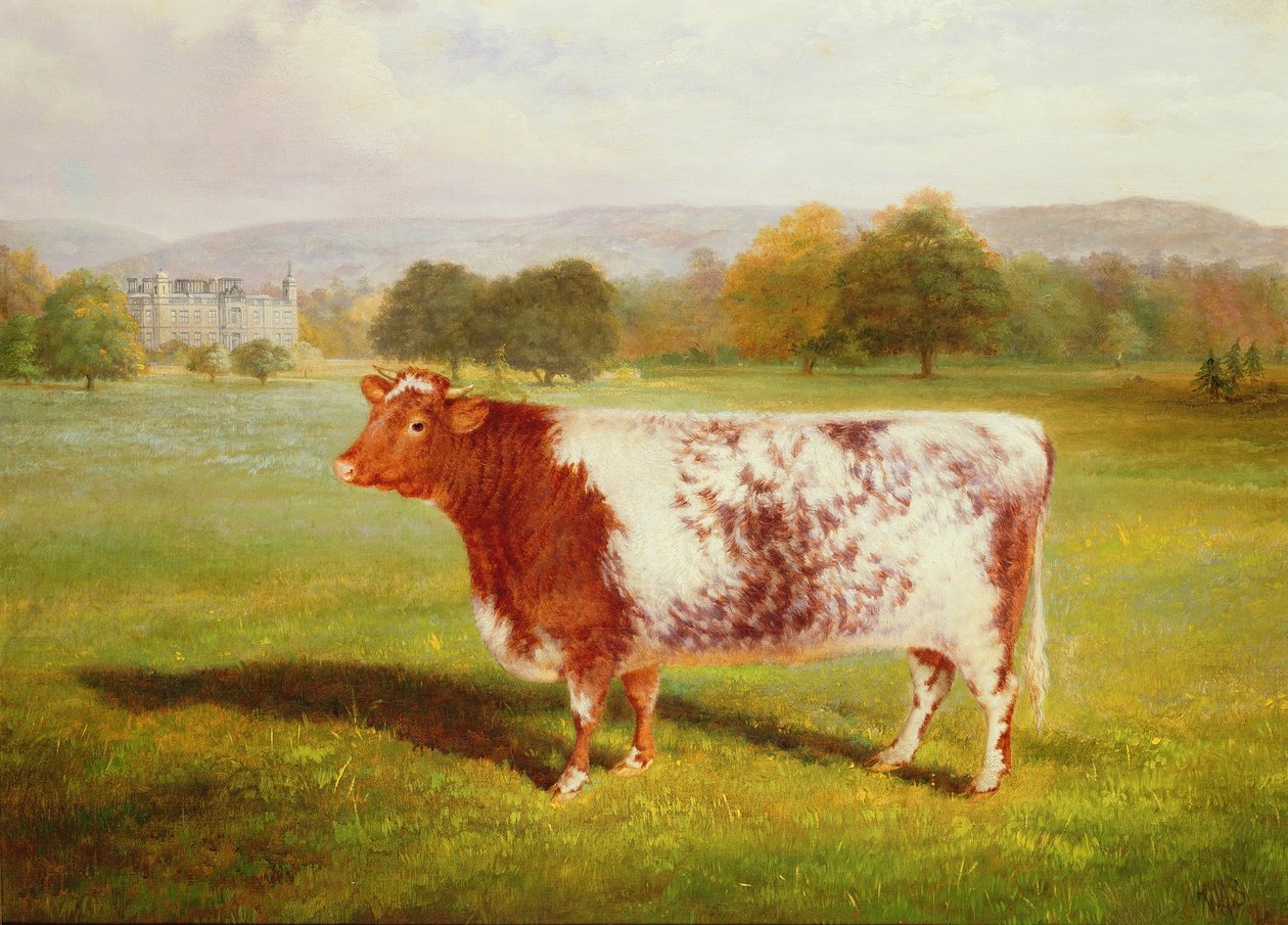 Portret krótkoroga, XIX w. autorstwa William Joseph Shayer