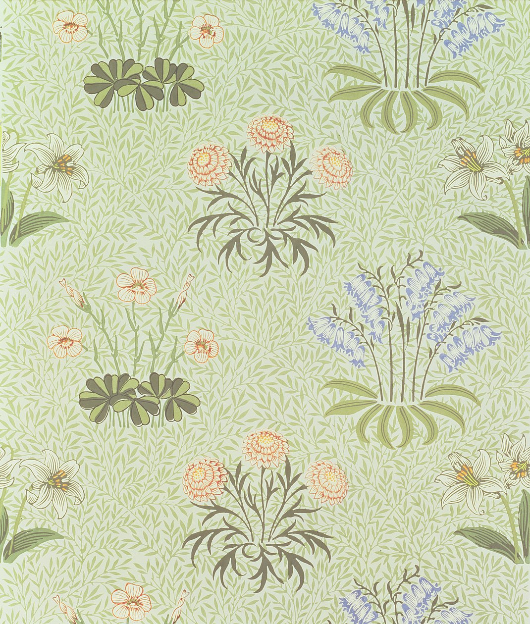 Tapeta stokrotka z konwalią i innymi dzikimi kwiatami na tle wierzby, zaprojektowana przez Williama Morrisa (1834-96) 1862 autorstwa William Morris