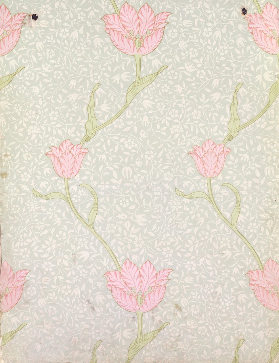 Projekt tapety „Garden Tulip”, 1885 autorstwa William Morris