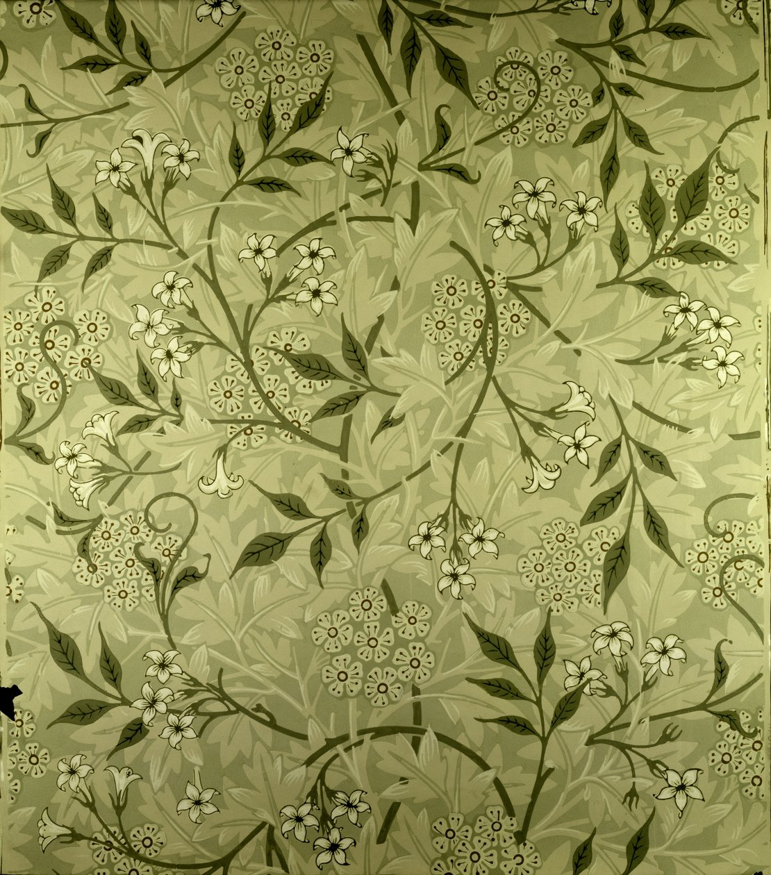 Projekt tapety „Jaśmin”, 1872 r. autorstwa William Morris