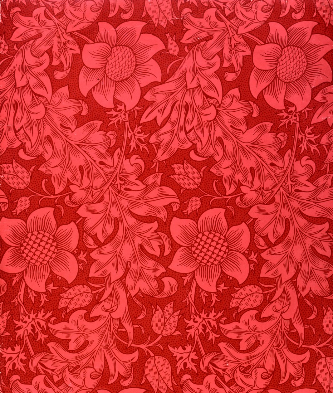 Red Sunflower Wallpaper Design, 1879 (kolorowy drzeworyt na papierze) autorstwa William Morris