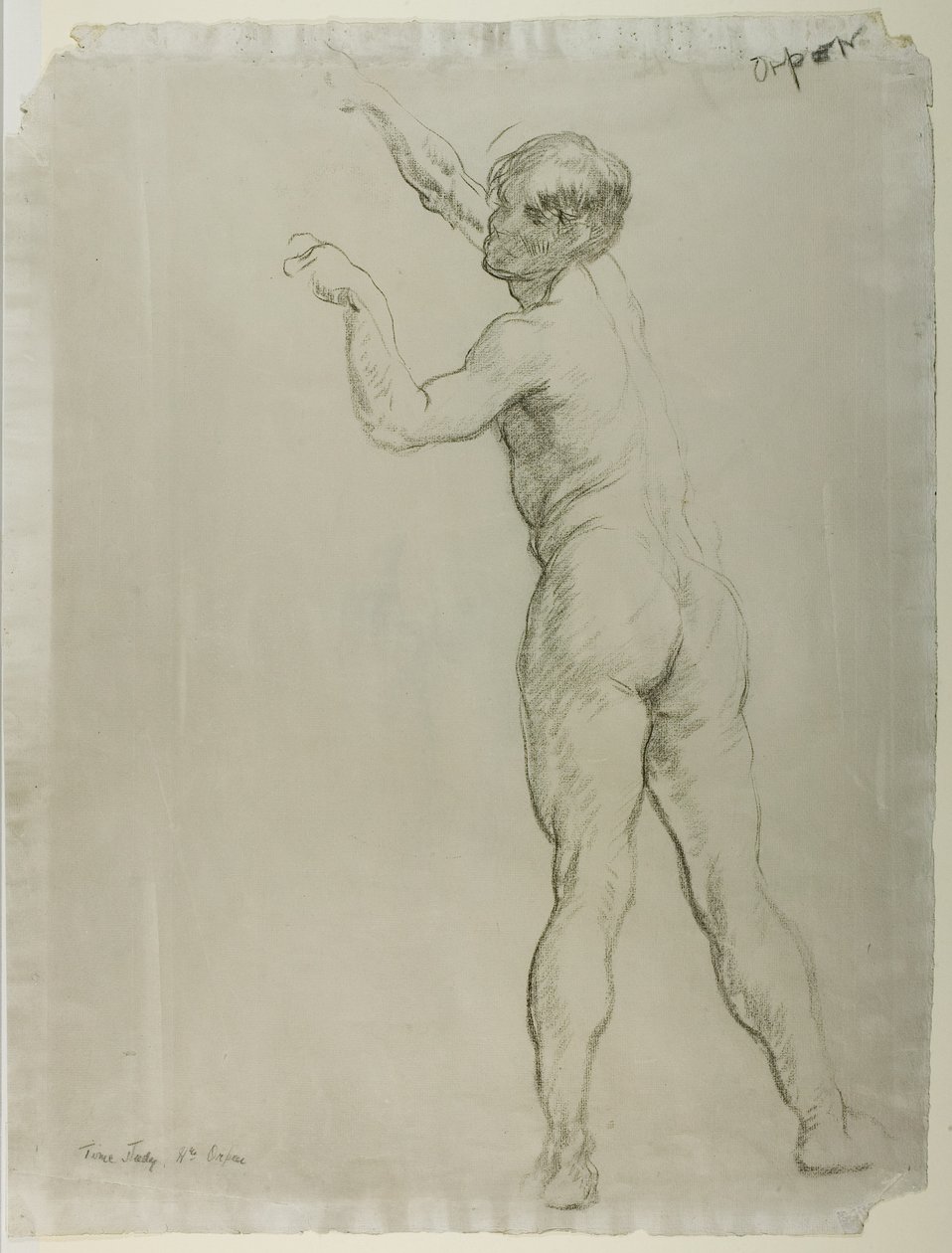 Mężczyzna nago stojący (kreda na papierze) autorstwa William Orpen