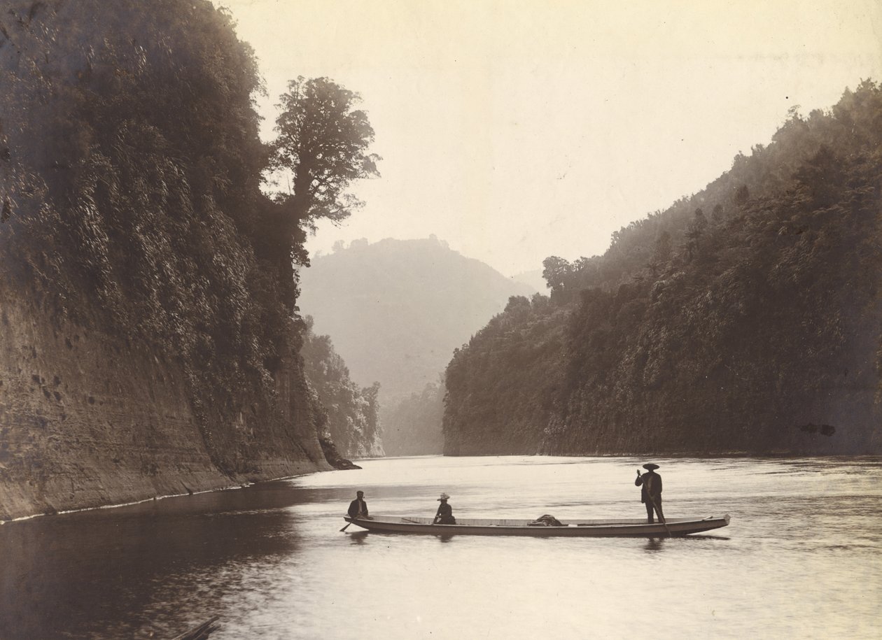 Rzeka Whanganui, ok. 1905 (srebrny odcisk żelatynowy) autorstwa William Partington