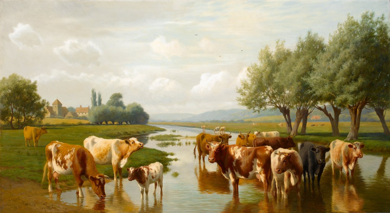 Bydło na łące wodnej w pobliżu Thanington, Kent, 1901 autorstwa William Sidney Cooper